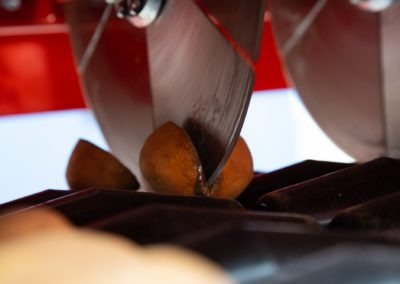 Downs Seed-cutter - Cutting Potato
