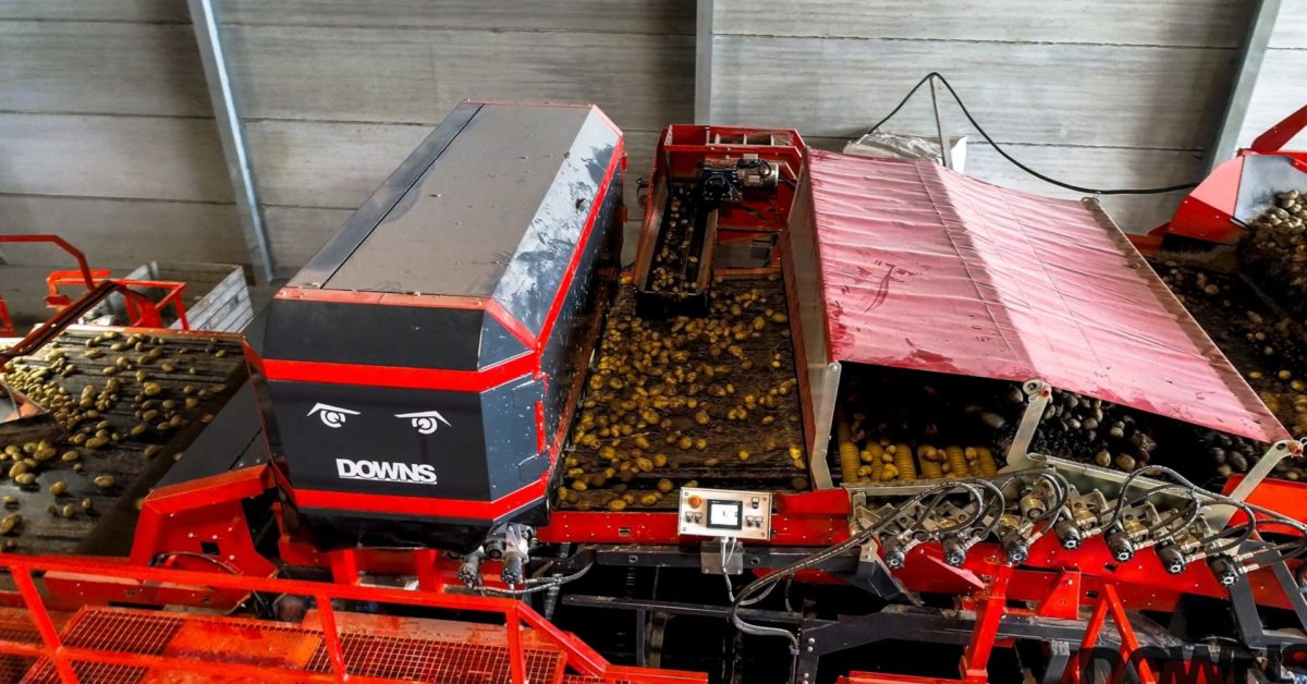 DOWNS CropVision - Optical sorter