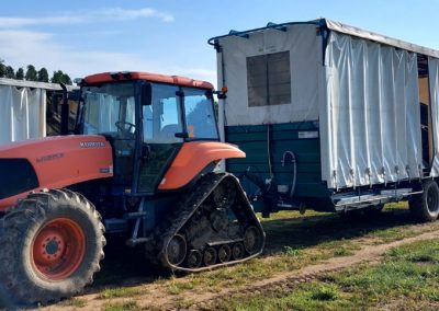 Kubota Tractor with Harvesting Trailer