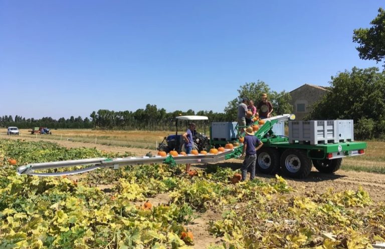 HARVESTING BELT SIDE-MOUNT