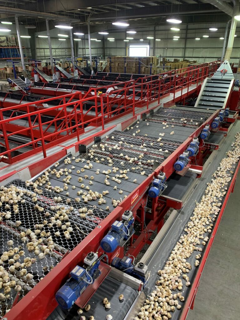 Grading sorting-line